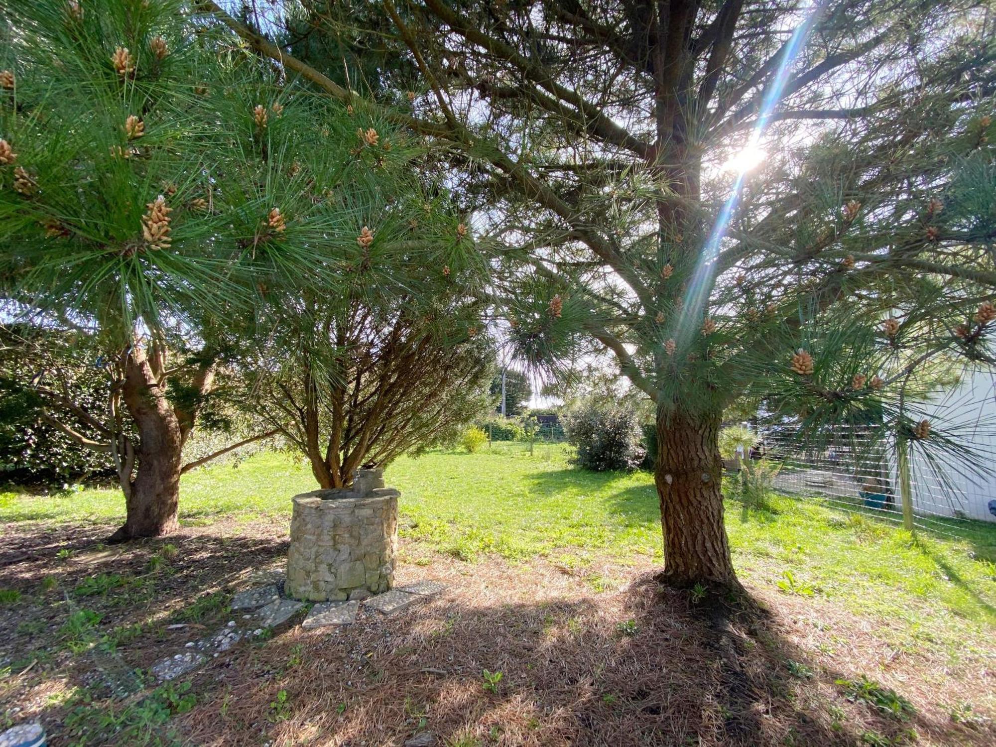 Er Blehua - 5 Pieces, Jardin, Sainte-Barbe - C58 Villa Plouharnel Eksteriør bilde